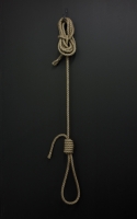 12_revolutionwithoutrdetailthe-noose.jpg